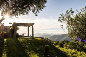 Hotels in Arga de Baixo